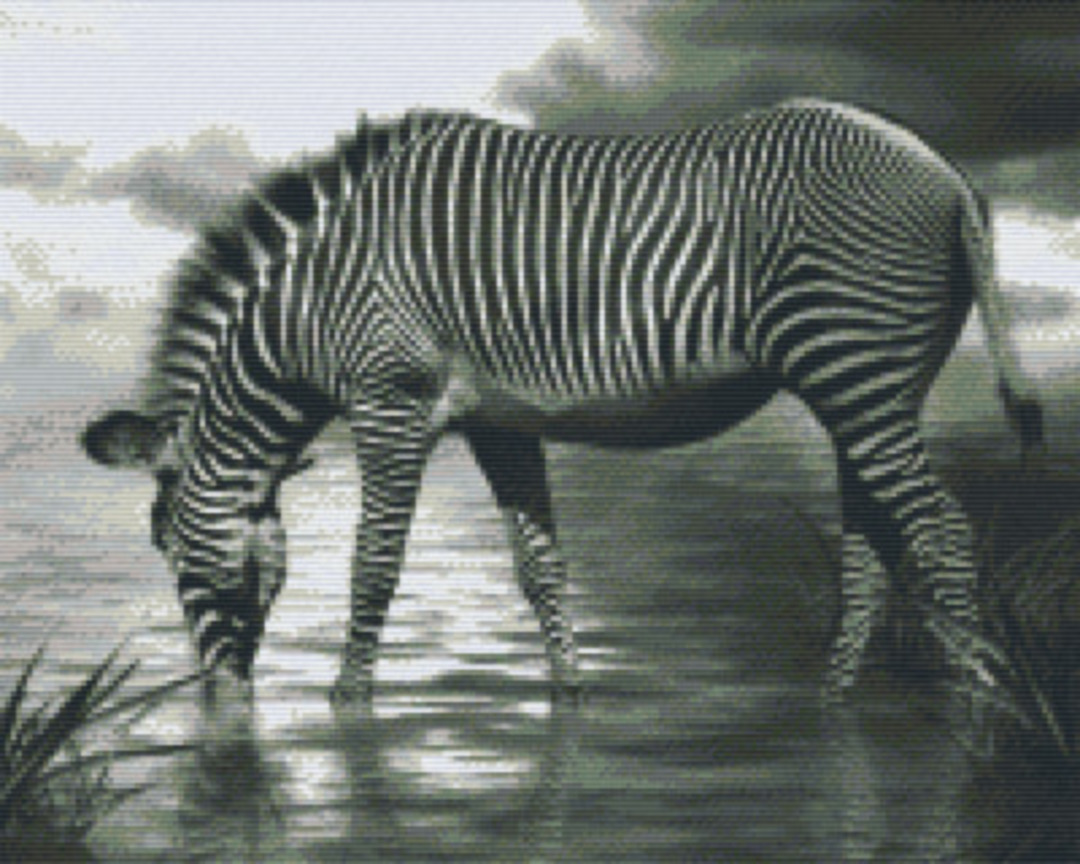 Black And White Zebra Sixteen [16] Baseplate PixelHobby Mini-mosaic Art Kit image 0